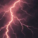 .plooom