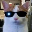 dark_alex1