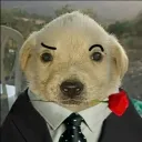 alancanord avatar