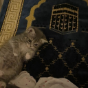 avatar ʾAbdus-salaam al-Ḥanbalī