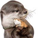 starsbythepocketfulll's avatar