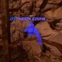 bxgvr