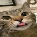 ogkvs6969