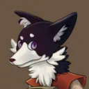 shadrel.foxen