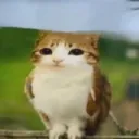 niniiisssss_