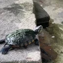 elijahislouis avatar