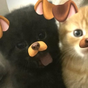 avatar ოɾ.sաҽҽԵlíղց