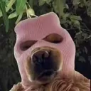 lollo_lama000