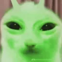 lilaarch