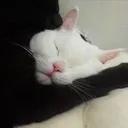 katalinq