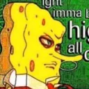 mostlysponge9623