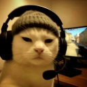 avatar Bobs The Bobster🦞🐐