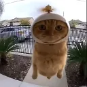 dr_coititox_43078 avatar