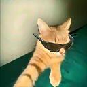 aayush_555