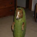 itscolinlmao
