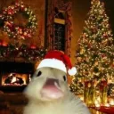 agustingadea32 avatar