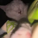 ju_heyowennnnnn