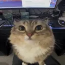 Аватар yarikz0781