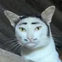 nielw