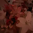 shouya.flora_rae