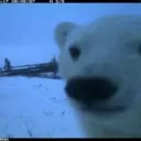 Аватар taraz6u