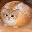 chippyisdabest avatar