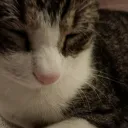 unrealburger4 avatar