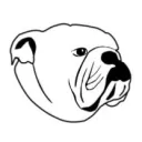 mddbulldogg