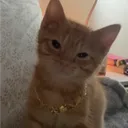 moneydue_