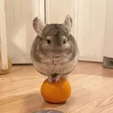 ir00nww