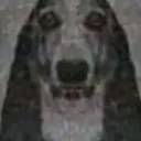 elffasandararqq