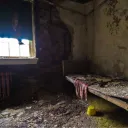 moltenbraingoonette avatar