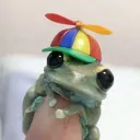 indifroggo