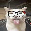 fakepasha