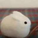 Fluffball