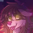 dimwitwolf