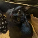 cuteratuwu