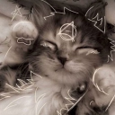 avatar 𝒈𝒉𝒐𝒔𝒕