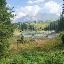 meadow_37