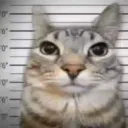 Аватар adekvat_ezz