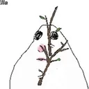 mallu_the_mally