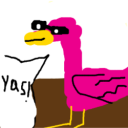 flamngox3