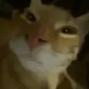 shadowkdodjdksndnssksk avatar