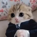nicocolikeburger_ avatar