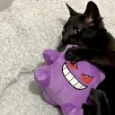 forb4imm