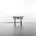 _7_7_7_7_7_7_7_7_