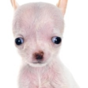 num_nuggets's Avatar