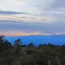 lexy93_22972