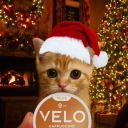 matts_chill_thanks's Avatar