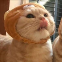 avatar tushi  ིྀ